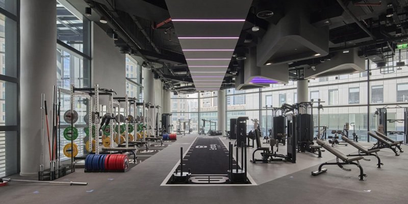 https:--portal.fandcproperties.ae-uploads-panel-blogs-thumbnails-best_gyms_in_dubai:_elevate_your_fitness_journey_in_style_thumbnail_1759911273.jpeg